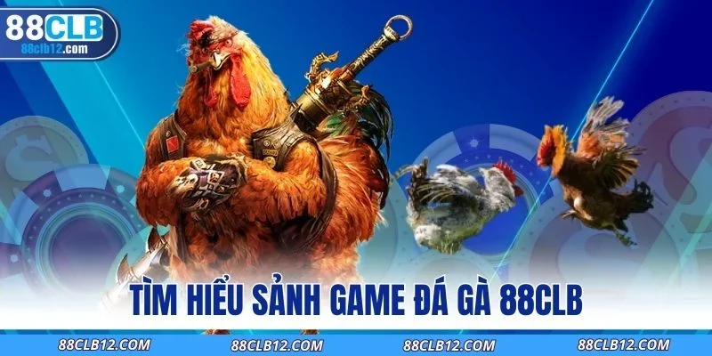 Tìm hiểu sảnh game đá gà 88CLB