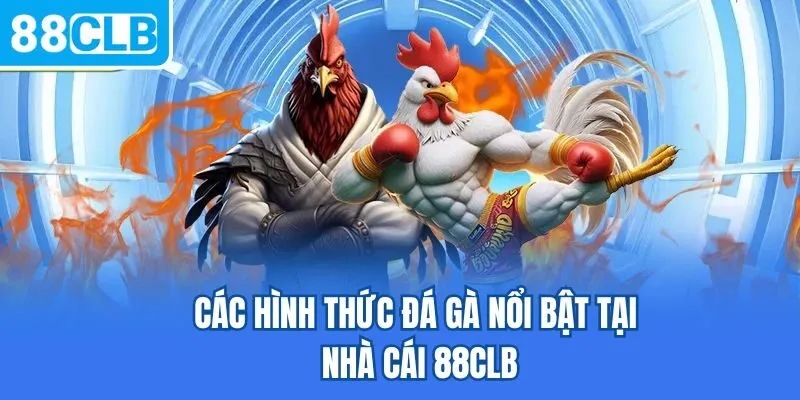 Các hình thức đá gà nổi bật tại nhà cái 88CLB
