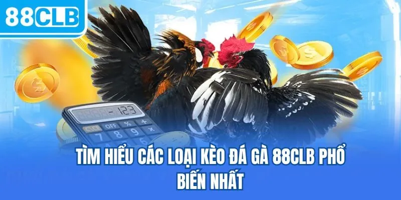 Tìm hiểu các loại kèo đá gà 88CLB phổ biến nhất