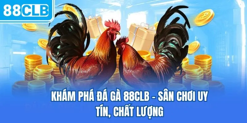 Khám phá đá gà 88CLB - Sân chơi uy tín, chất lượng