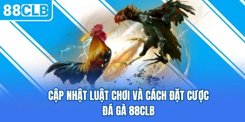 Cập nhật luật chơi và cách đặt cược đá gà 88CLB