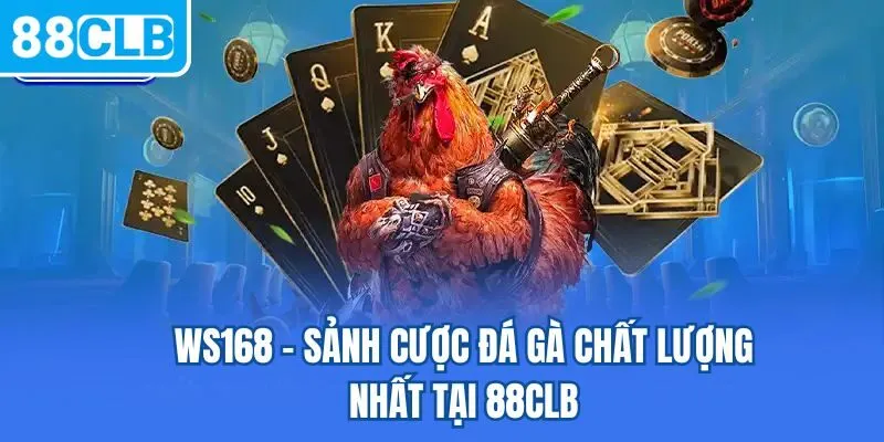 WS168 - Sảnh cược đá gà chất lượng nhất tại 88CLB