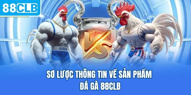 Sơ lược thông tin về sản phẩm đá gà 88CLB